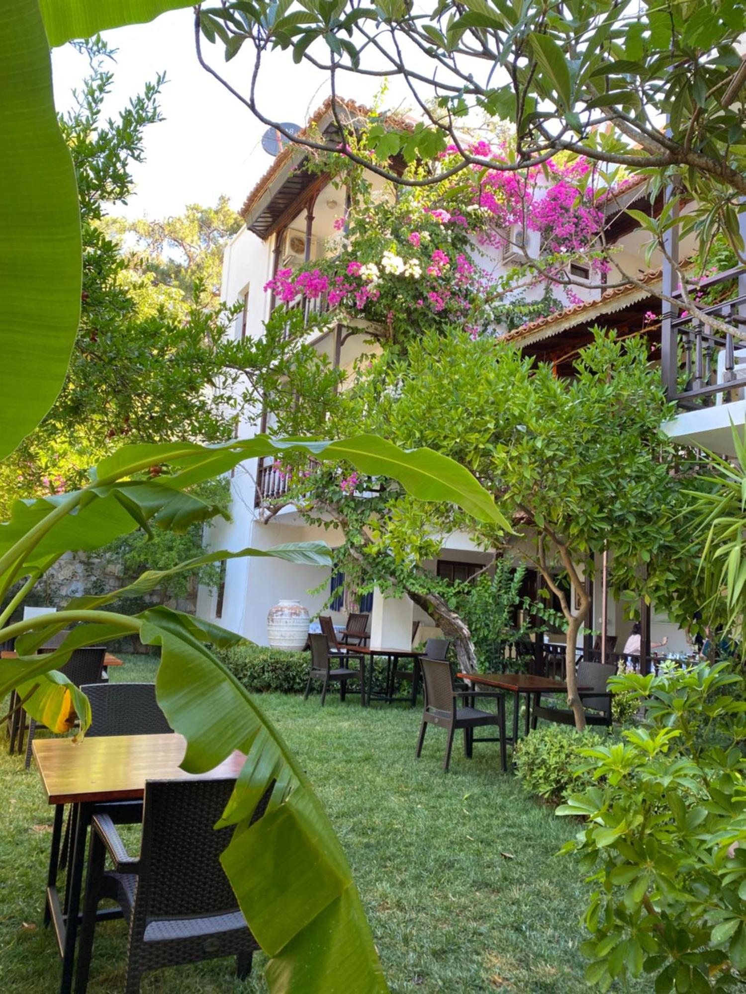 Totelya Hotel Ак'яка Екстер'єр фото