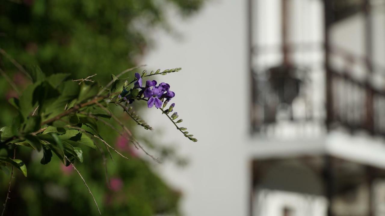 Totelya Hotel Ак'яка Екстер'єр фото